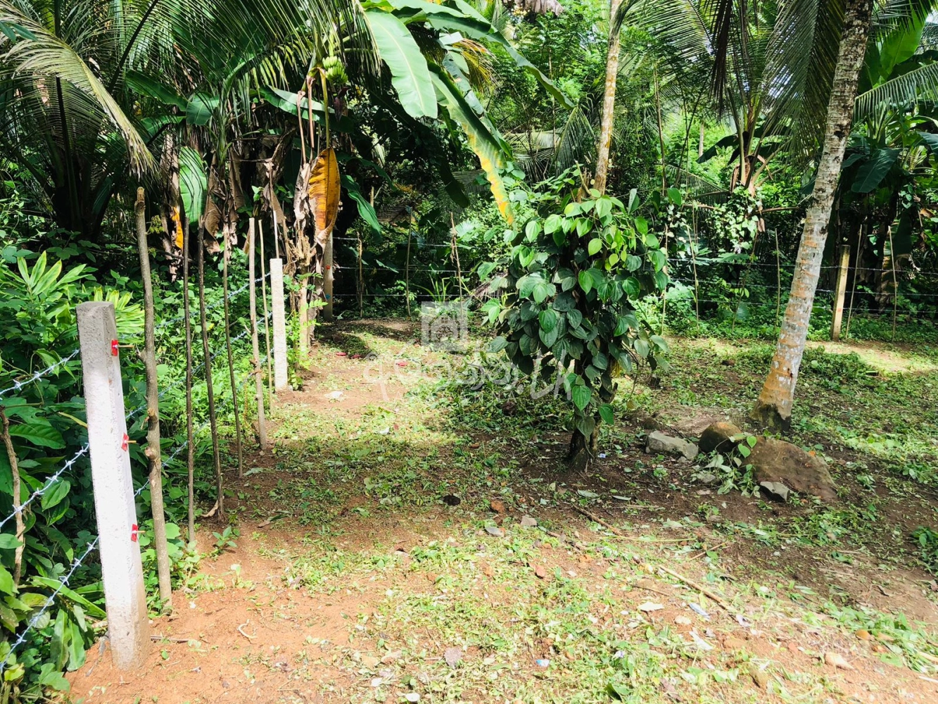 Land for sale in Galle Wijayananda Mw in Galle House, Land