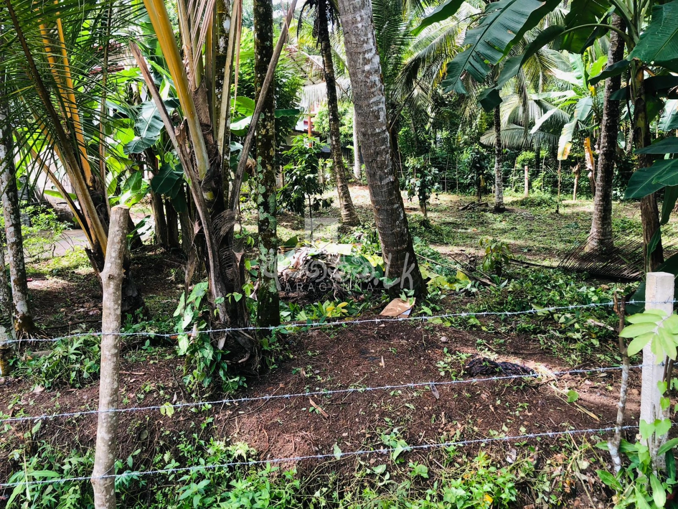 Land for sale in Galle Wijayananda Mw in Galle House, Land